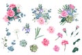 Wild rose rosa canina dog rose garden flowers, succulent and campanula flowers and mix of seasonal plants and herbs big vector col Royalty Free Stock Photo