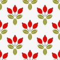 Wild rosehip fruits seamless pattern. Autumn rose hip background Royalty Free Stock Photo