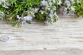 Wild rosemary with flowers on the old wooden table