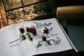 Wild Roses Cut Flowers in an old Vintage Book. Royalty Free Stock Photo