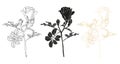 Wild roses flower with leaves set. Black ink line art, silhouette and gold foil hand drawn illustration for card, logo Royalty Free Stock Photo