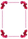 Wild roses frame