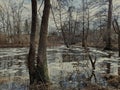 A wild and rushing river in central Poland.