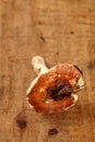 Wild russule mushroom on wooden box