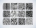 Wild safari animal black and white seamless pattern collection. Vector leopard, cheetah, tiger, giraffe, zebra, snake