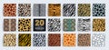 Wild safari animal seamless pattern collection. Vector leopard, cheetah, tiger, giraffe, zebra, snake skin texture set for fashion