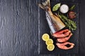 Wild salmon cut in steaks on a tray Royalty Free Stock Photo