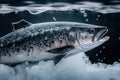 Wild salmon on ice. AI generated