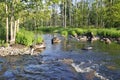 Wild salmon river in Sweden