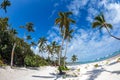 Wild and sand beach in Punta Cana, Dominican Republic Royalty Free Stock Photo