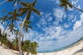 Wild and sand beach in Punta Cana, Dominican Republic Royalty Free Stock Photo