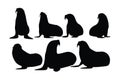 Wild sea lions sitting in different positions. Big sea creatures and sea lions sitting, silhouette on a white background. Seals