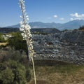 Wild sea squill flowers bloom on ruins of Theatre in Letoon Ancient City in village Kumluova. Short focus