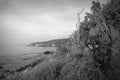 Wild seashore black & white view