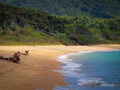 Secluded totaranui Beach in Abel Tasman National Park, New Zealand Royalty Free Stock Photo