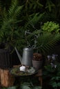 Wild shady forest garden decorations. Wooden table with candle Royalty Free Stock Photo