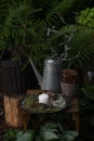 Wild shady forest garden decorations. Wooden table with candle Royalty Free Stock Photo