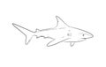 Wild Shark Drawing Vector Illustration