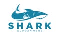 Wild shark illustration logo design