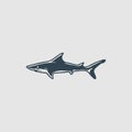 The wild shark illustration logo