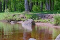 Wild shore of a beautiful lake, with boulders, grass, trees warm, sunny, spring day