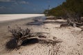 Wild side of the beach at Cayo Blanco, Cuba Royalty Free Stock Photo