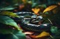 Wild Snake on Green Leaves, allure of wildlife