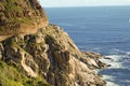 Wild South African coast line full of wild flowers Royalty Free Stock Photo