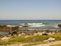 Wild South African coast line full of wild flowers Royalty Free Stock Photo