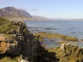 Wild South African coast line full of wild flowers Royalty Free Stock Photo