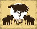 Wild spirit animals Royalty Free Stock Photo