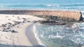 Wild spotted fur seal rookery, pacific harbor sea lion resting, California beach Royalty Free Stock Photo