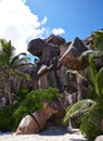 Wild stones on the white sand, Seychelles Royalty Free Stock Photo