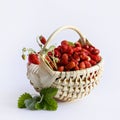 Wild strawberries in a beige basket Royalty Free Stock Photo