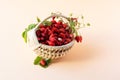 Wild strawberries in a beige basket Royalty Free Stock Photo