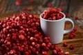 Wild strawberries in closeup