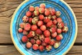 Wild strawberries Fragaria viridis in blue plate on wooden table Royalty Free Stock Photo