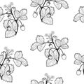 Wild strawberries seamless background, black and white periodic pattern.