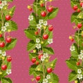 Wild strawberries seamless background Royalty Free Stock Photo