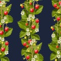 Wild strawberries seamless background Royalty Free Stock Photo