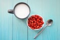 Wild strawberries in white bowl, milk in cup and silver spoon on blue wooden background, Top view. space for text. Delicious Royalty Free Stock Photo