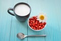 Wild strawberries in white bowl, milk in cup and silver spoon on blue wooden background, Top view. space for text. Delicious Royalty Free Stock Photo