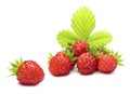 Wild strawberry Royalty Free Stock Photo