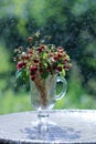 Wild strawberry bouquet in glass over green bokeh background Royalty Free Stock Photo