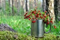 Wild strawberry in the forest. Bouquet of fresh wild strawberries on a background of green leaves and trees in the wildlife. Sweet Royalty Free Stock Photo