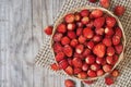 Wild strawberry Fragaria vesca