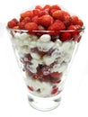 Wild strawberry fruit dessert with yogurt Royalty Free Stock Photo