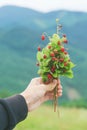 Wild strawberry in the hand. Royalty Free Stock Photo