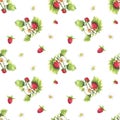 Wild strawberry pattern