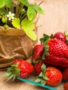 wild strawberry in pot and tasty fresh strawberrys in glass on sackcloth,nutrition, vitamin rich berry